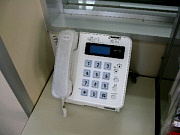 IMG_2566.jpg