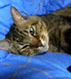 200407192150.jpg