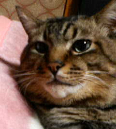 200412202051.jpg