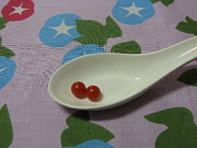 microtomato.jpg