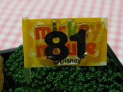 11-18.jpg