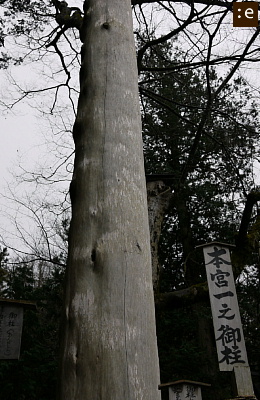 z-hasira.jpg
