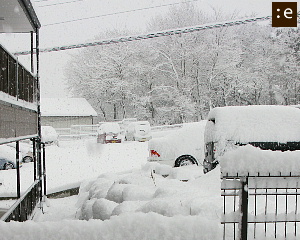 z-snow2.jpg