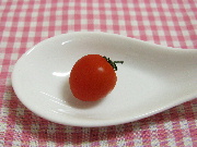 z-tomato.jpg
