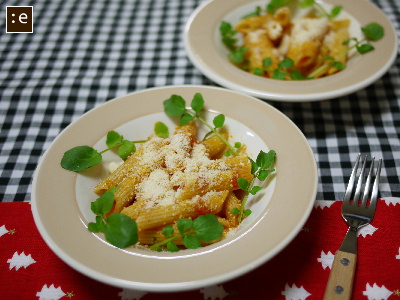 2010christmas4.jpg