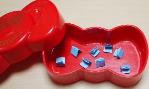 2011プレ-4.jpg