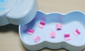 2011プレ-6.jpg