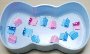 2011プレ-8.jpg