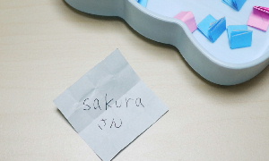 2011プレ-9.jpg