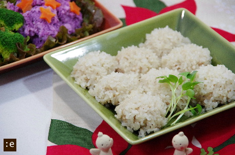 z-2011christmas4.jpg
