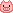 豚