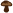 きのこ