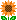 ひまわり
